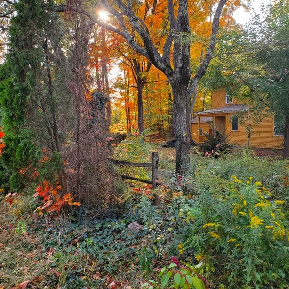 Thank you 🥀🥰🕷😊🦇🥰🕸❣💯🙌🏽 - Picture 1 of 1